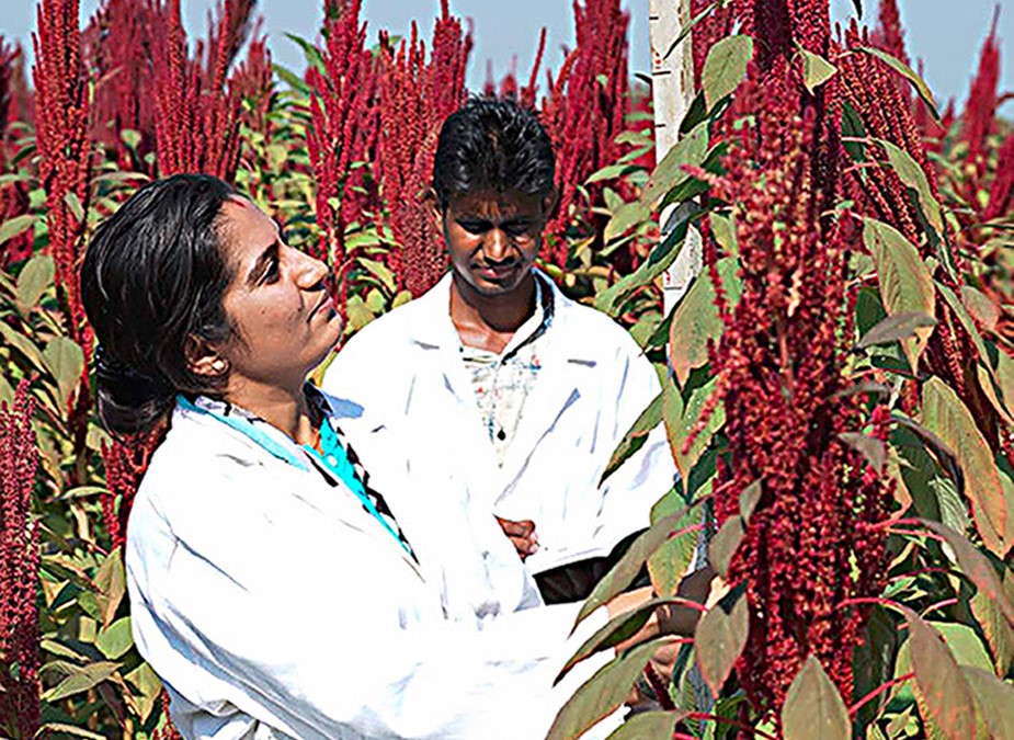 Agriculture Fellowship Program Agriculture Fellowship Program
