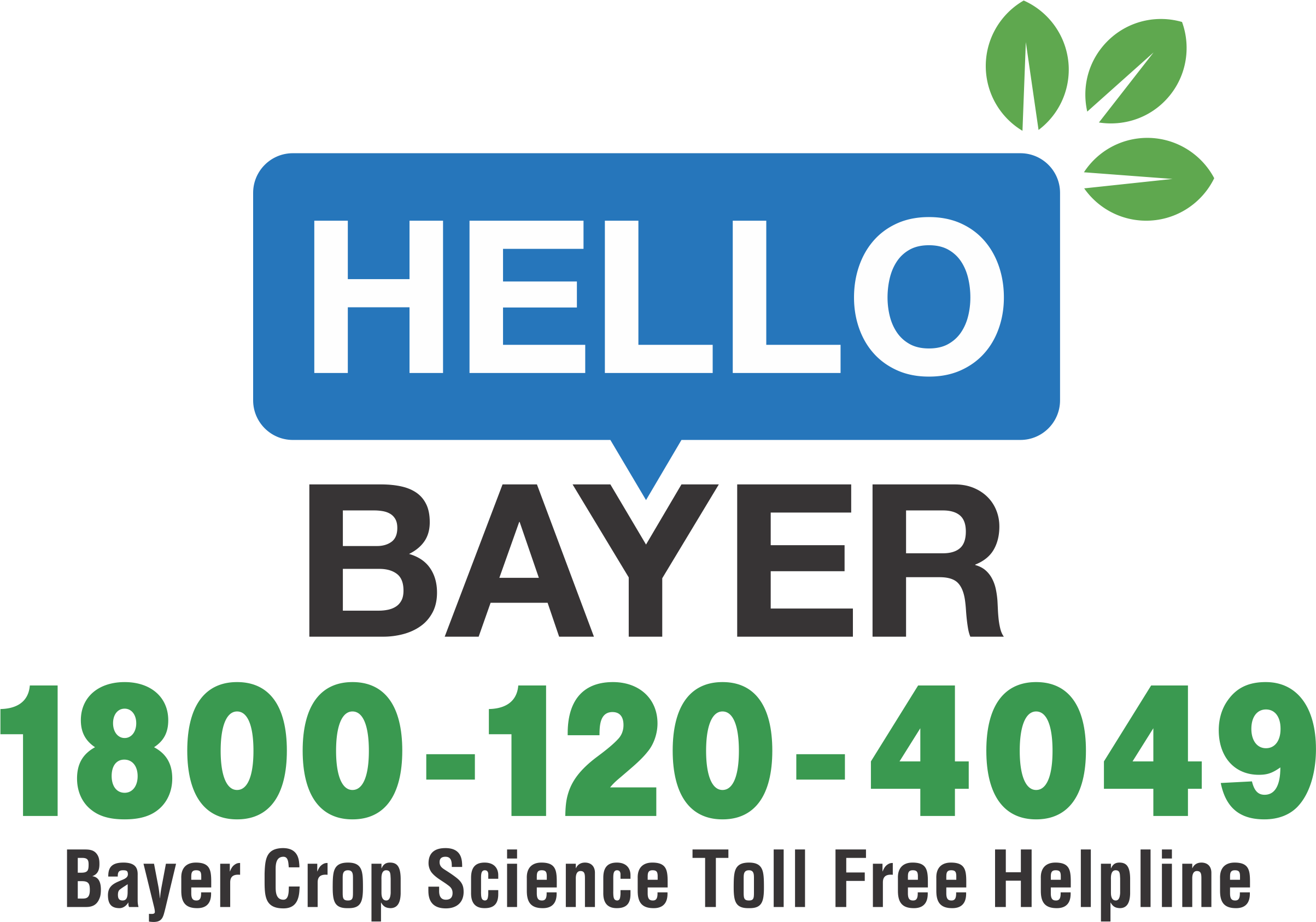 Hello bayer