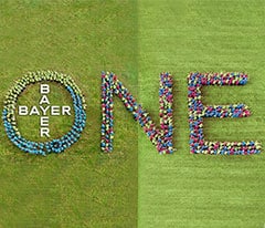 ONE_Bayer_240.jpg