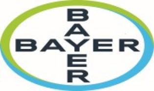 Bayer-cross