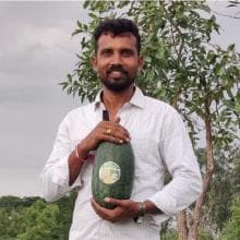 A person in a white shirt holds a watermelon, standing outdoors with trees and a cloudy sky in the background.